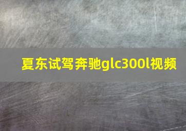 夏东试驾奔驰glc300l视频