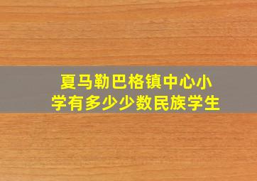 夏马勒巴格镇中心小学有多少少数民族学生