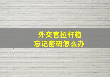 外交官拉杆箱忘记密码怎么办