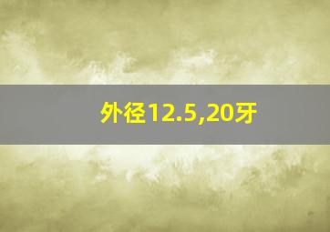 外径12.5,20牙