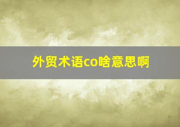 外贸术语co啥意思啊