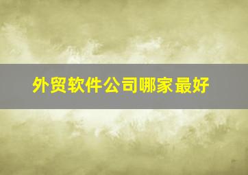 外贸软件公司哪家最好