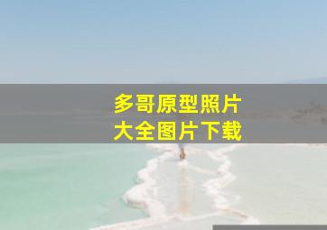 多哥原型照片大全图片下载