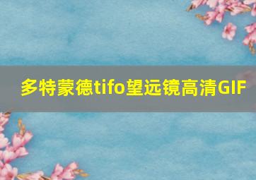 多特蒙德tifo望远镜高清GIF