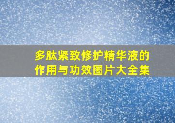 多肽紧致修护精华液的作用与功效图片大全集