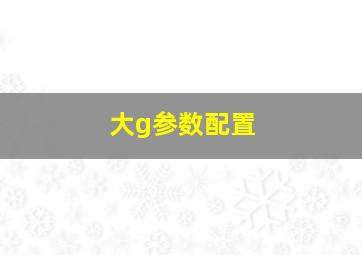 大g参数配置