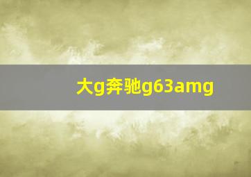 大g奔驰g63amg