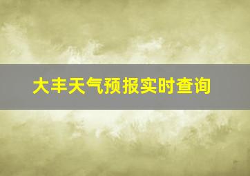 大丰天气预报实时查询