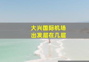 大兴国际机场出发层在几层