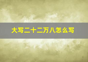 大写二十二万八怎么写