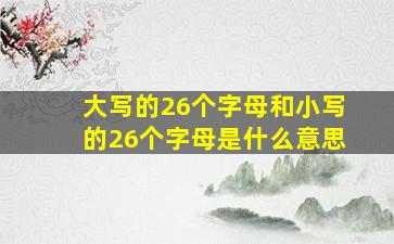 大写的26个字母和小写的26个字母是什么意思