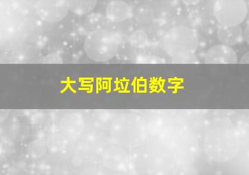 大写阿垃伯数字