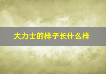 大力士的样子长什么样