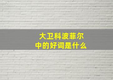 大卫科波菲尔中的好词是什么