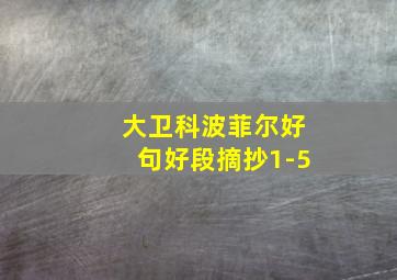 大卫科波菲尔好句好段摘抄1-5