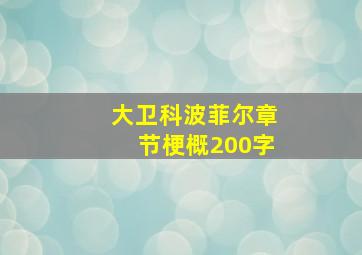 大卫科波菲尔章节梗概200字