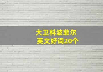 大卫科波菲尔英文好词20个