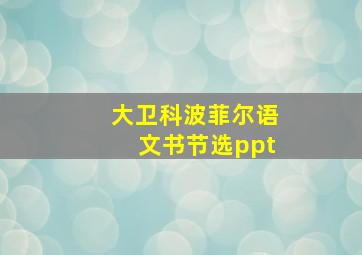 大卫科波菲尔语文书节选ppt