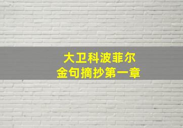 大卫科波菲尔金句摘抄第一章