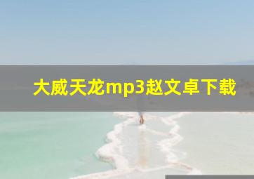 大威天龙mp3赵文卓下载