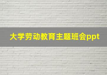 大学劳动教育主题班会ppt