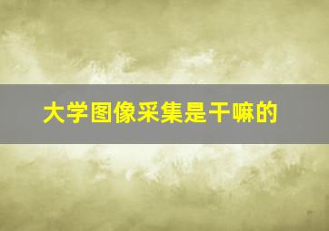 大学图像采集是干嘛的