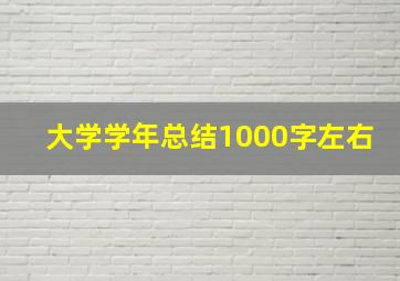 大学学年总结1000字左右