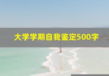 大学学期自我鉴定500字