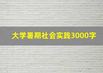 大学暑期社会实践3000字