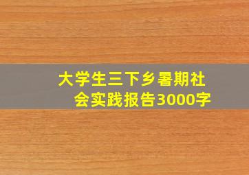 大学生三下乡暑期社会实践报告3000字