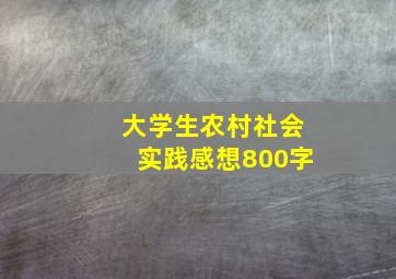 大学生农村社会实践感想800字