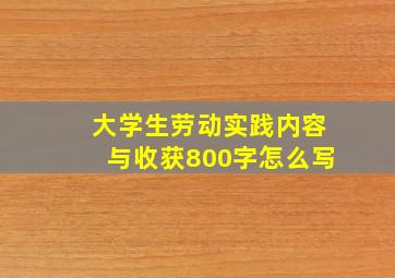 大学生劳动实践内容与收获800字怎么写