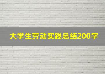 大学生劳动实践总结200字