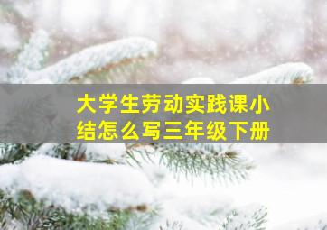 大学生劳动实践课小结怎么写三年级下册