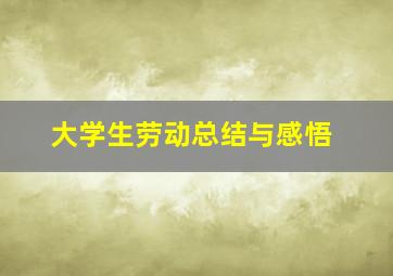 大学生劳动总结与感悟