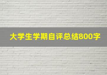 大学生学期自评总结800字