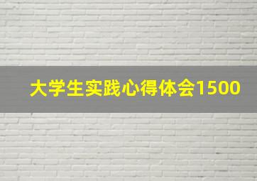 大学生实践心得体会1500