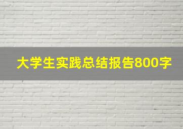 大学生实践总结报告800字