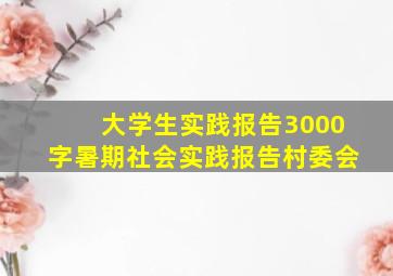 大学生实践报告3000字暑期社会实践报告村委会