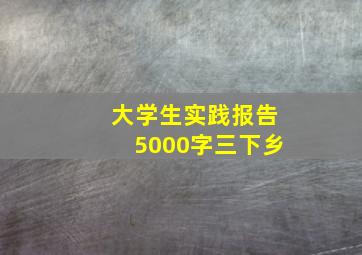 大学生实践报告5000字三下乡