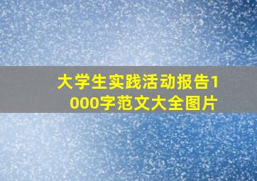 大学生实践活动报告1000字范文大全图片