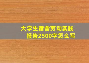 大学生宿舍劳动实践报告2500字怎么写