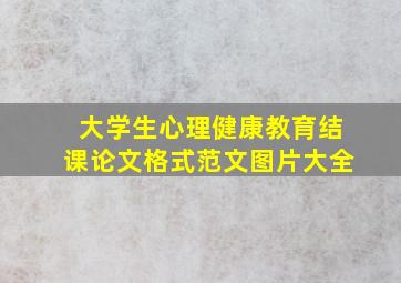 大学生心理健康教育结课论文格式范文图片大全