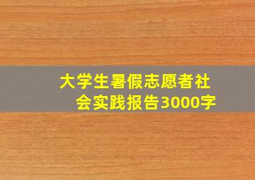 大学生暑假志愿者社会实践报告3000字