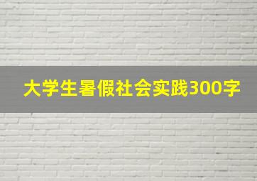 大学生暑假社会实践300字