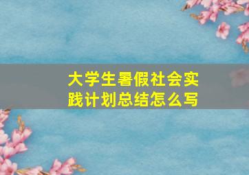 大学生暑假社会实践计划总结怎么写