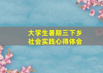 大学生暑期三下乡社会实践心得体会