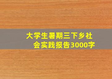 大学生暑期三下乡社会实践报告3000字