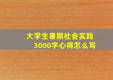 大学生暑期社会实践3000字心得怎么写