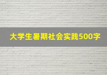 大学生暑期社会实践500字